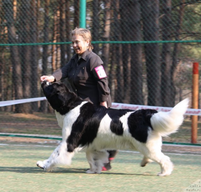 Фотография № 65042