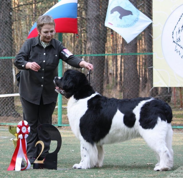 Фотография № 65043