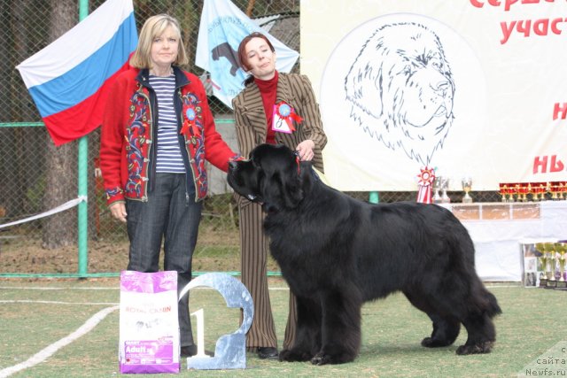 Фотография № 65072