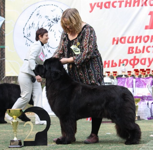 Фотография № 65090