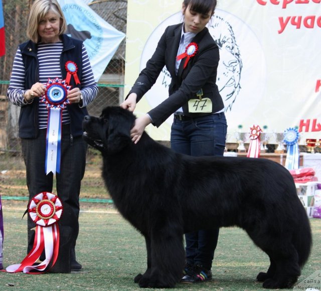 Фотография № 65092