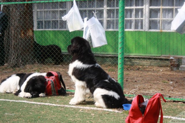 Фотография № 65120