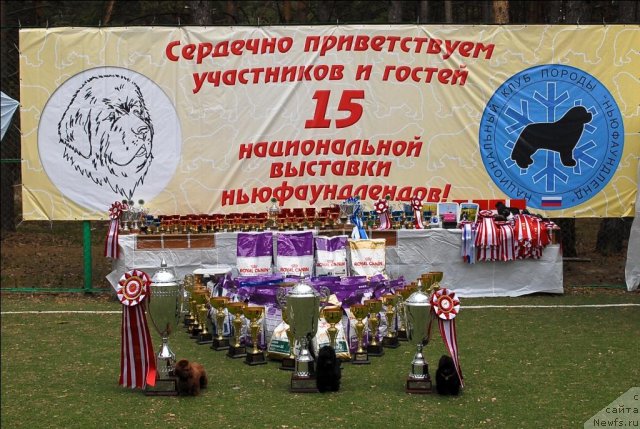 Фотография № 65130