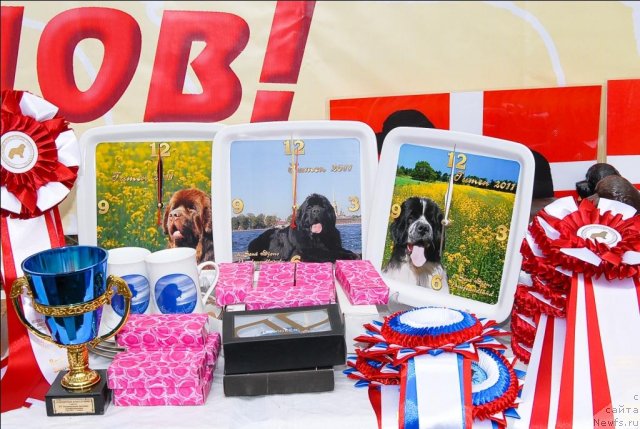 Фотография № 65131