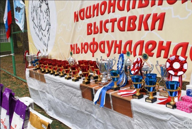 Фотография № 65133