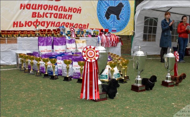 Фотография № 65134