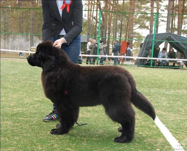 Фотография № 65142