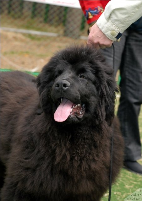 Фотография № 65143