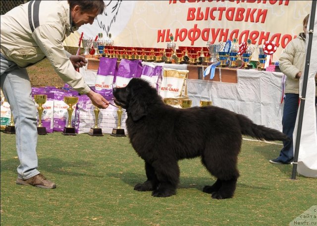 Фотография № 65146