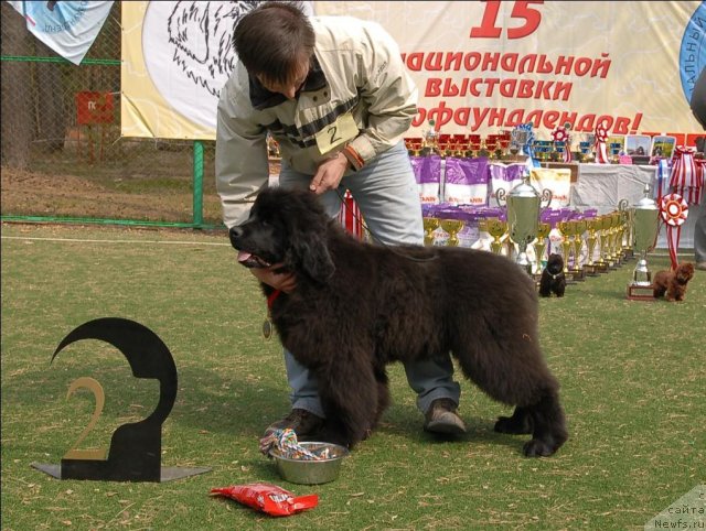 Фотография № 65149