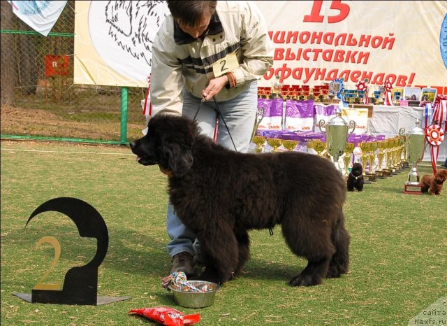 Фотография № 65150