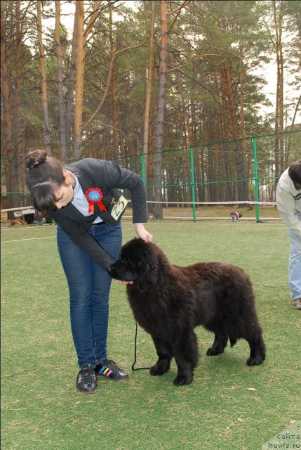 Фотография № 65153