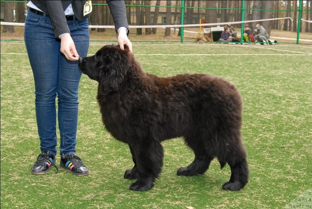 Фотография № 65155