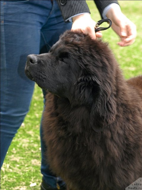 Фотография № 65156