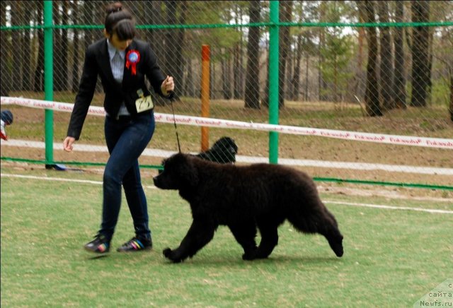 Фотография № 65158