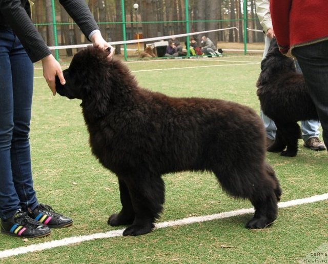 Фотография № 65159