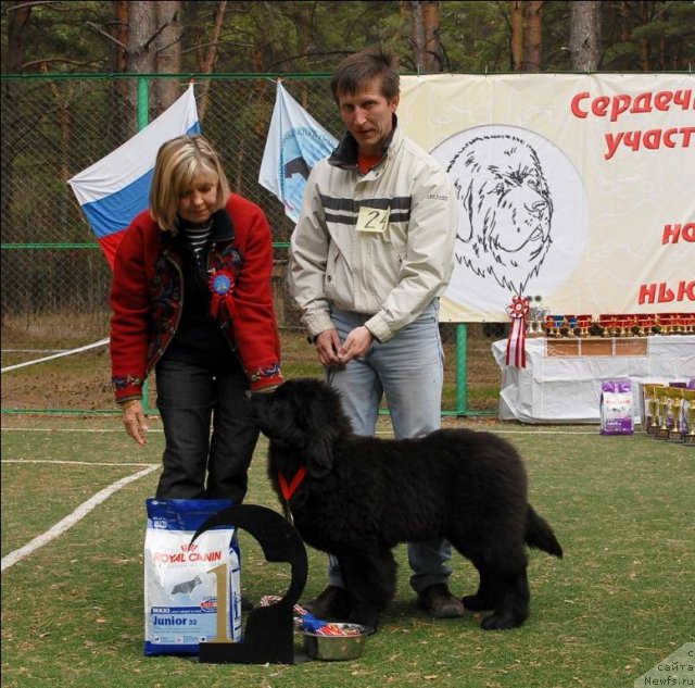 Фотография № 65162