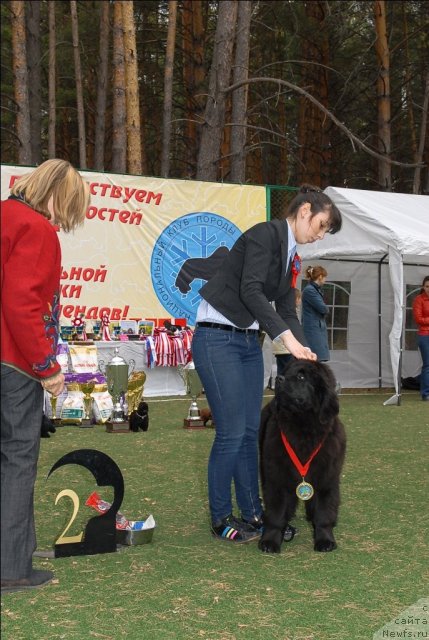 Фотография № 65163