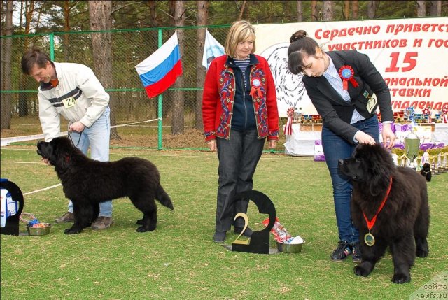 Фотография № 65165