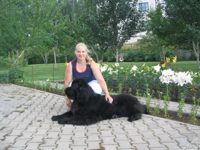 Фото: ньюфаундленд Nju Speis' Millenium Sensation (Нью Спейс Милениум Сенсейшен)