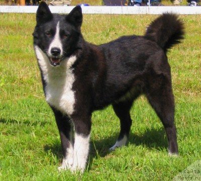 Фотография № 65203