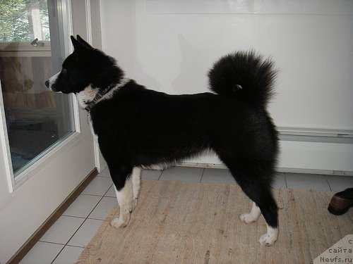 Фотография № 65204