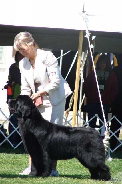 Фотография № 65205