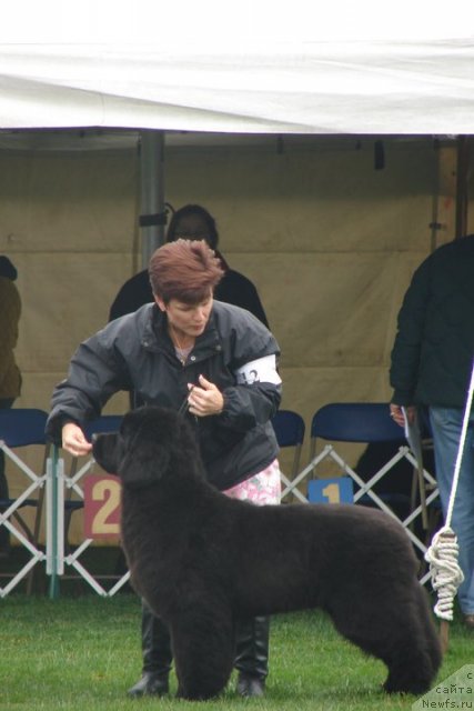 Фотография № 65206