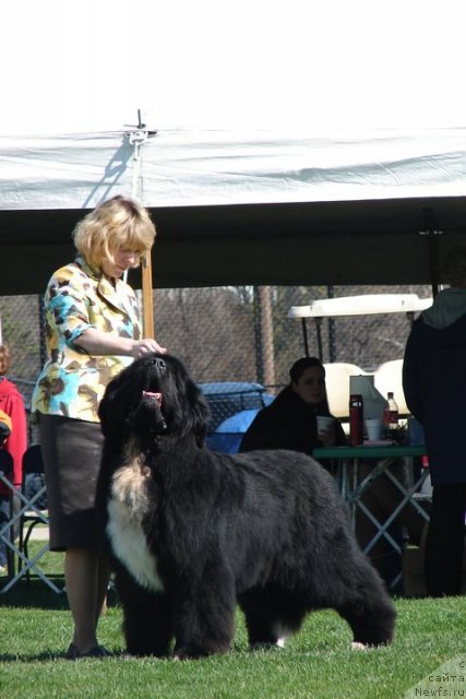 Фотография № 65208