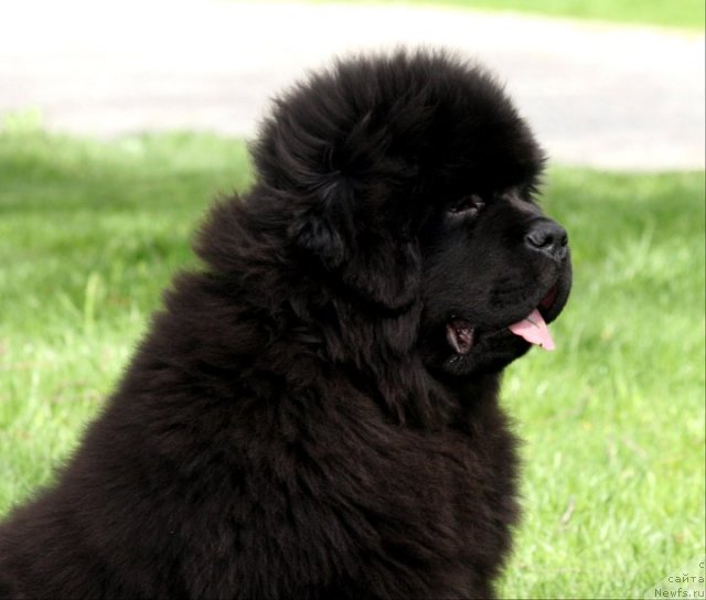 Фотография № 65213