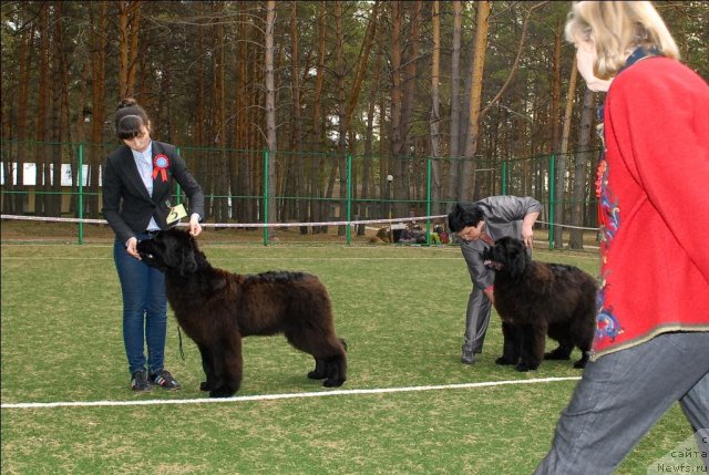 Фотография № 65216