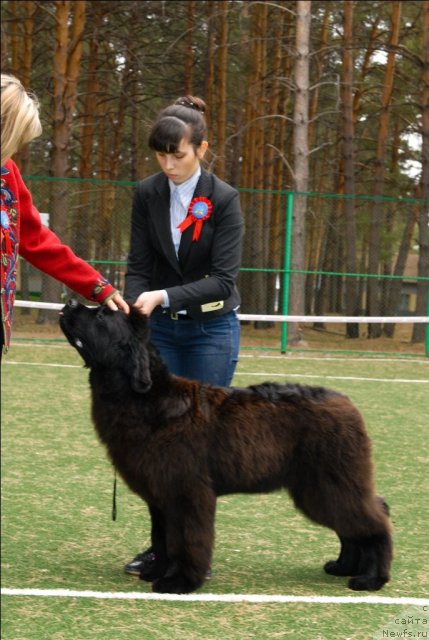 Фотография № 65217