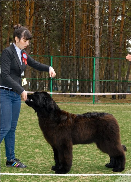 Фотография № 65218