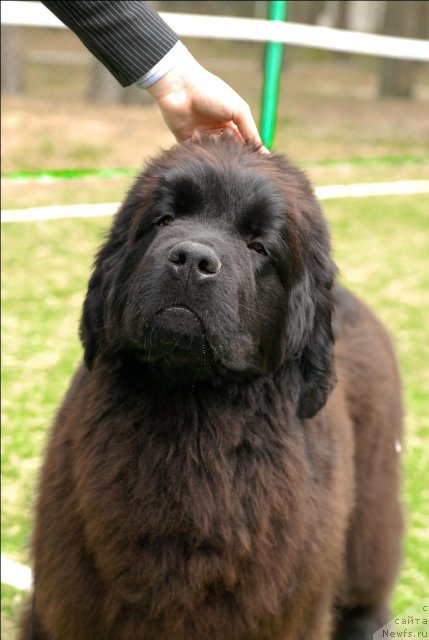 Фотография № 65220