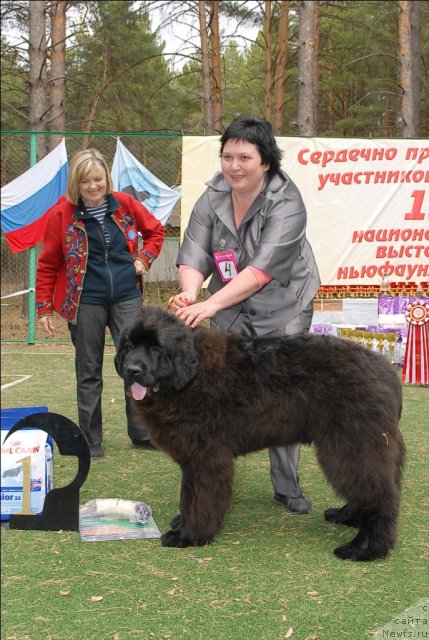 Фотография № 65227