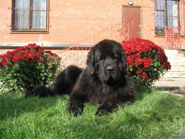 Фотография № 6523