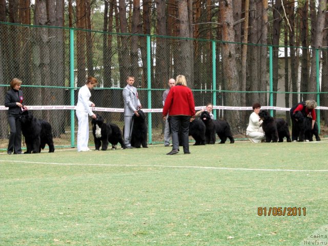Фото: Aleksey Nistratov (Алексей Нистратов), Irina Panyushkina (Ирина Панюшкина), Aleksey Stupnikov (Алексей Ступников), Kseniya Novikova (Ксения Новикова), Nadejda Strel'cova (Надежда Стрельцова)