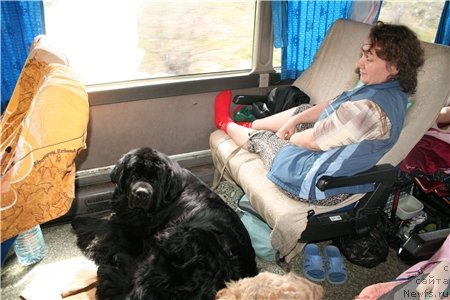 Фотография № 65276