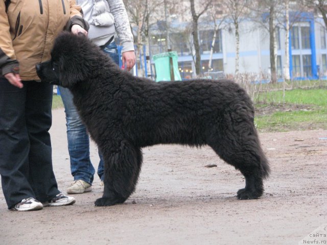 Фотография № 65289