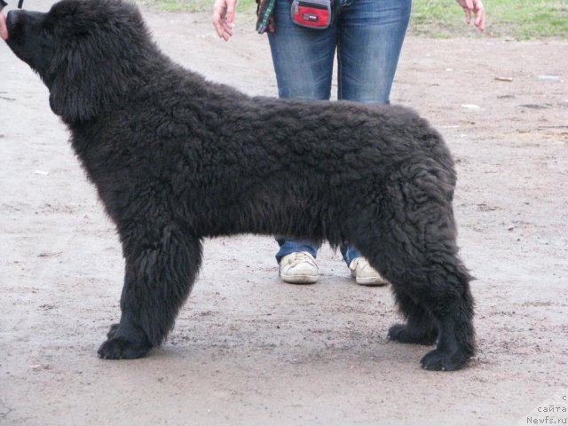 Фотография № 65291