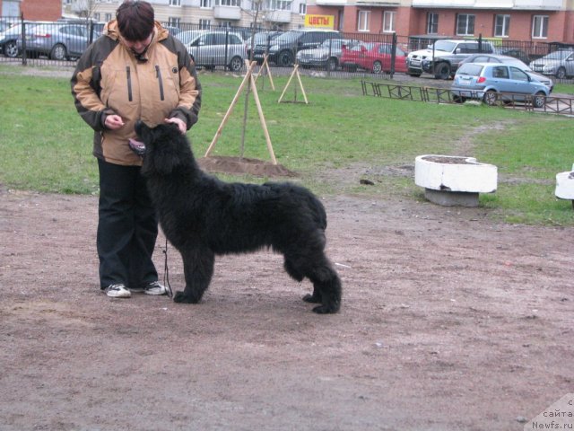 Фотография № 65293