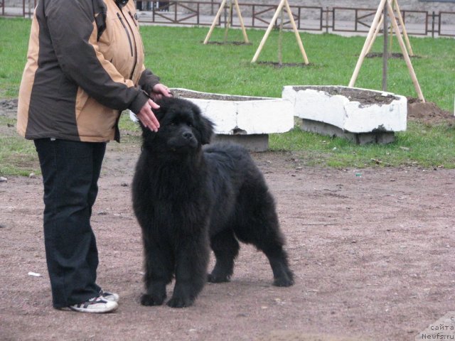 Фотография № 65294