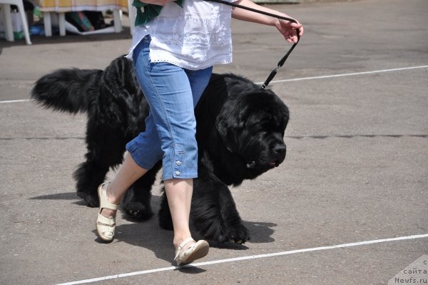 Фотография № 65320