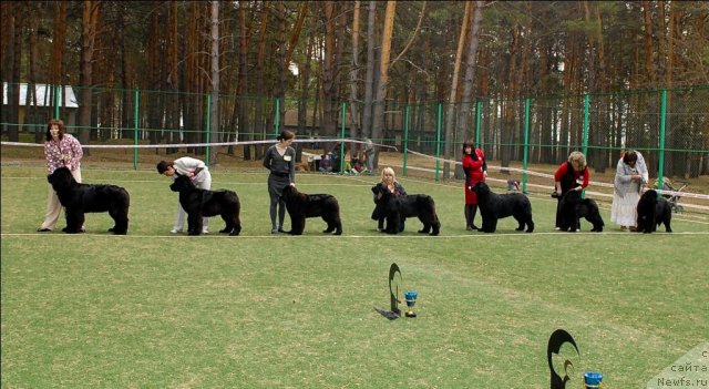 Фотография № 65344