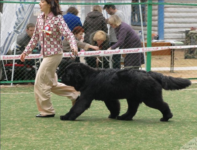 Фотография № 65346