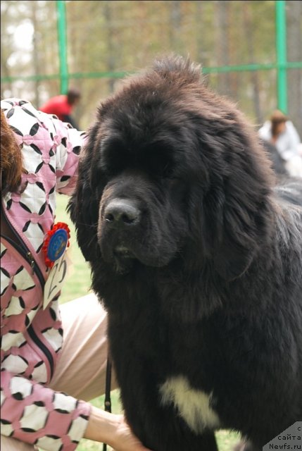 Фотография № 65347