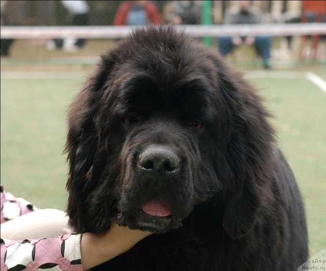 Фотография № 65348