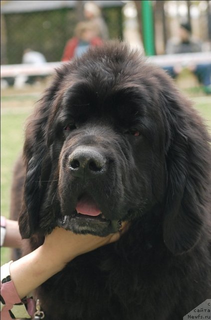 Фотография № 65349