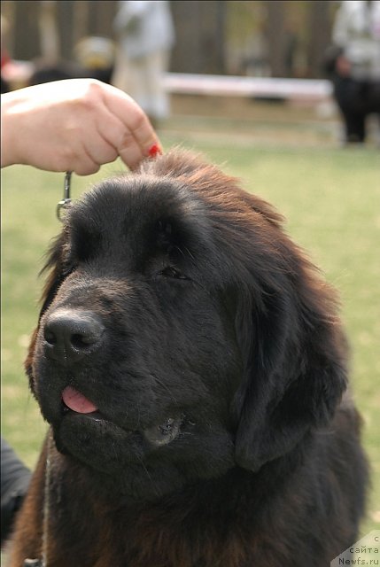 Фотография № 65358