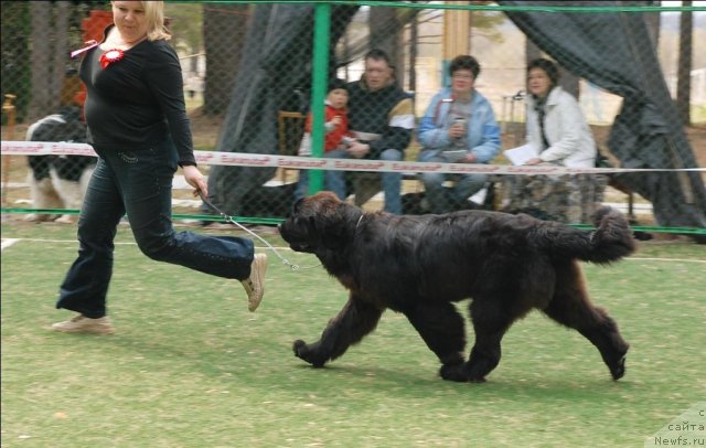 Фотография № 65360